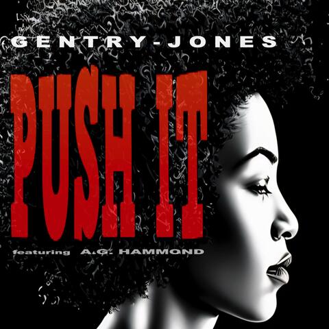 PUSH IT album art