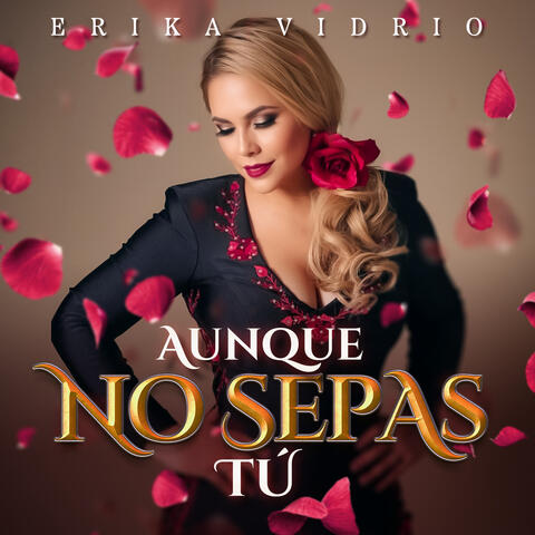 AUNQUE NO SEPAS TÚ album art