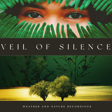 Veil of Silence album art