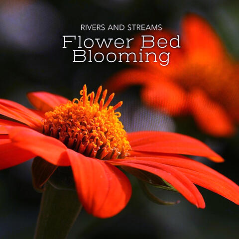 Flower Bed Blooming album art
