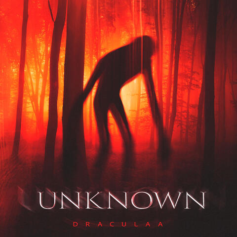 Unknown album art