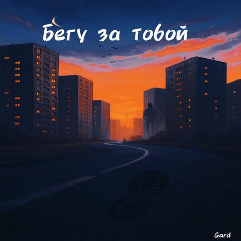 Бегу за тобой album art