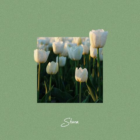 Kindness album art