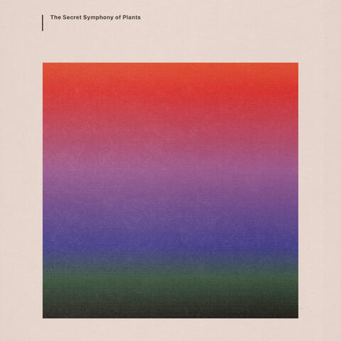 The Secret Symphony of Plants album art