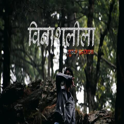 VINASHLEELA album art