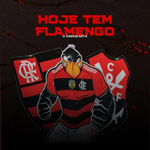 HOJE TEM FLAMENGO, O ARRASCAETA album art