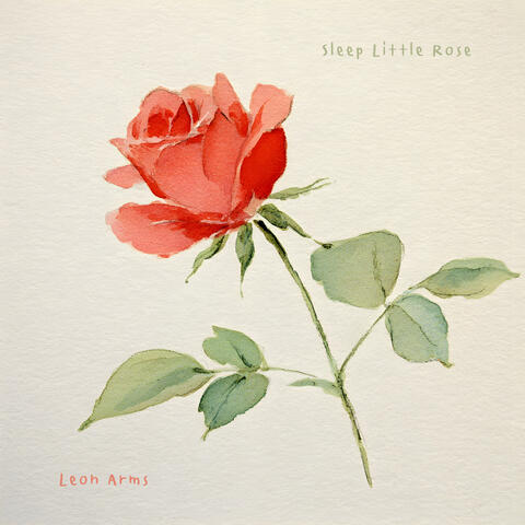 Sleep Little Rose album art