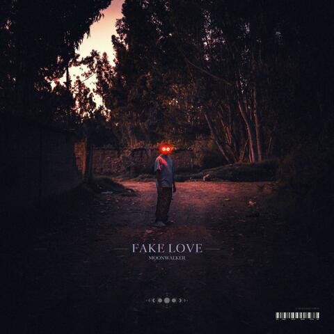 Fake Love album art