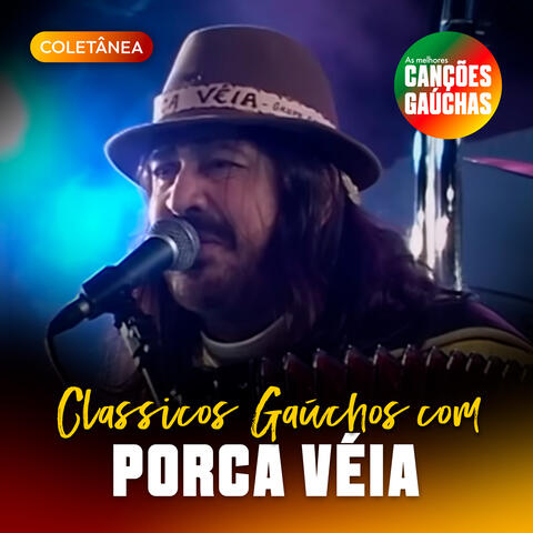 CLÁSSICOS GAÚCHOS COM PORCA VÉIA album art