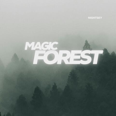 Magic Forest album art
