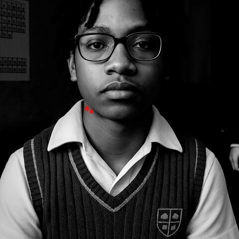 Bully album art