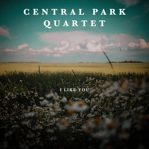 I Like You album art