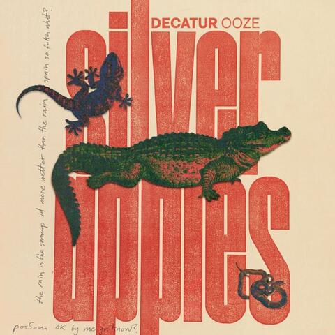 DecaturOoze album art