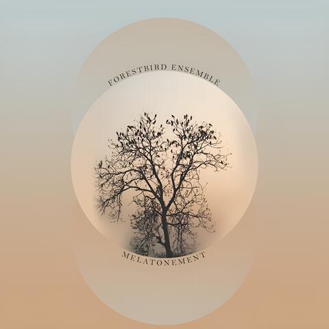 Forestbird Ensemble album art