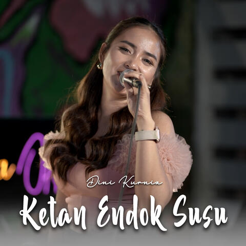 Ketan Endok Susu album art
