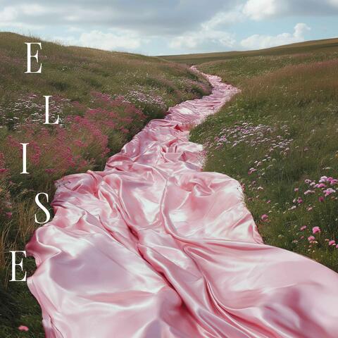 Privacy album art