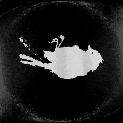 Fukushima album art