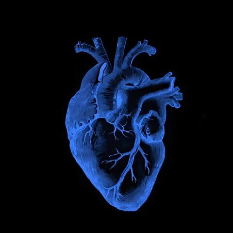 Cold blue 2 album art