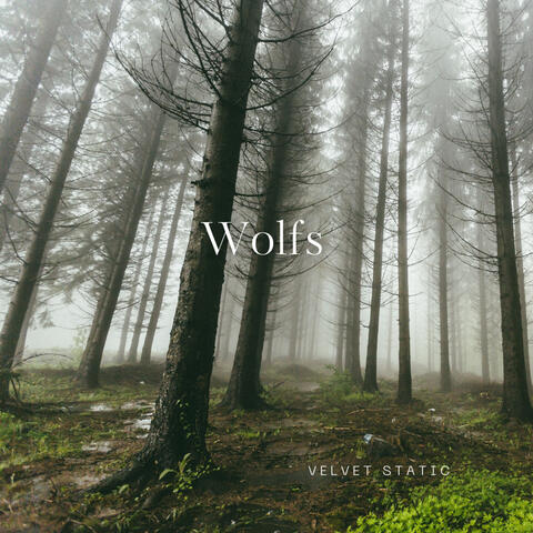 Wolfs album art