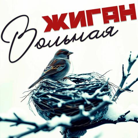 Вольная album art
