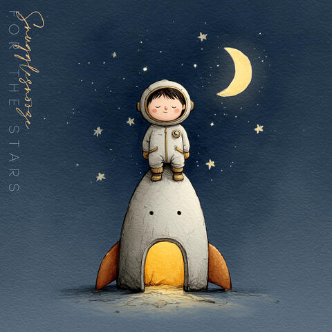 For The Stars album art