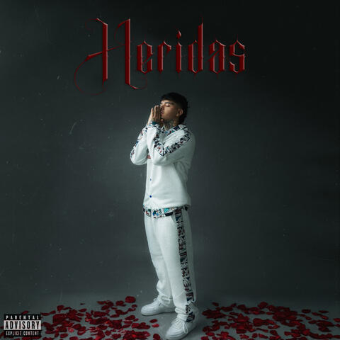 Heridas album art