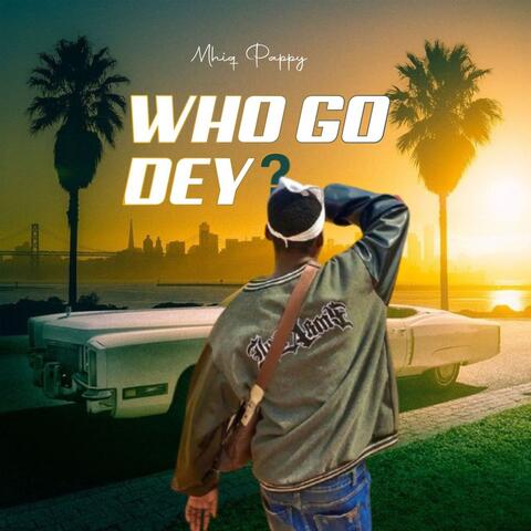 Who go dey album art
