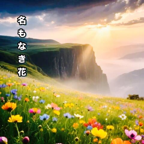 名もなき花 album art