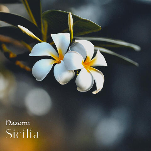 Sicilia album art