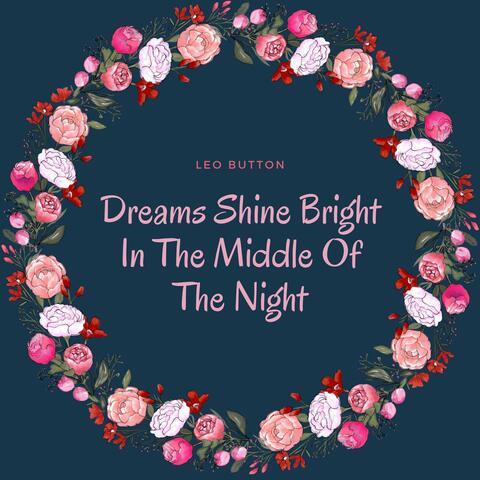 Dreams Shine Bright In The Middle Of The Night album art