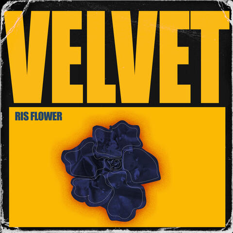 Velvet album art