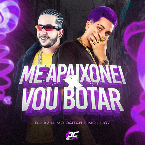 ME APAIXONEI X VOU BOTAR album art