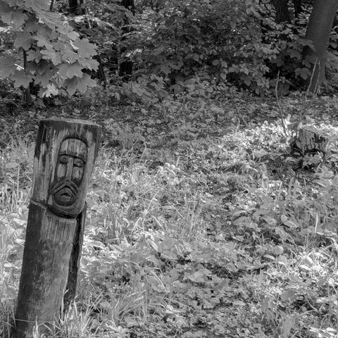 ПРИПУХШИЙ МАЗЕБОРЕД ПРЕЗЕНТУЄ: "ШОСЬ Я РОЗЛІНИВСЯ СИЛЬНО" album art