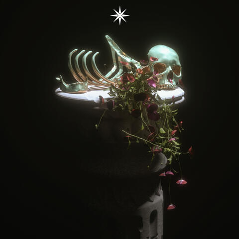 Solo album art