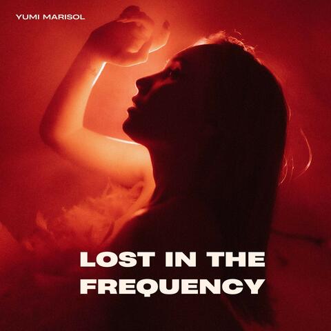 Lost in the Frequency album art