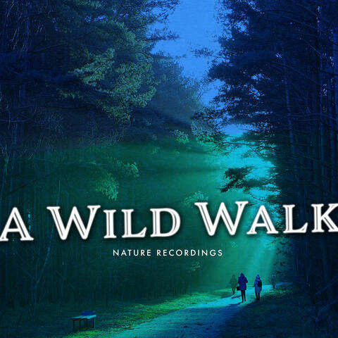 A Wild Walk album art