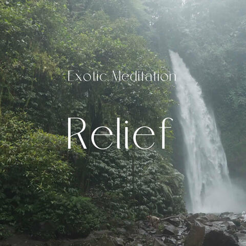 Relief album art