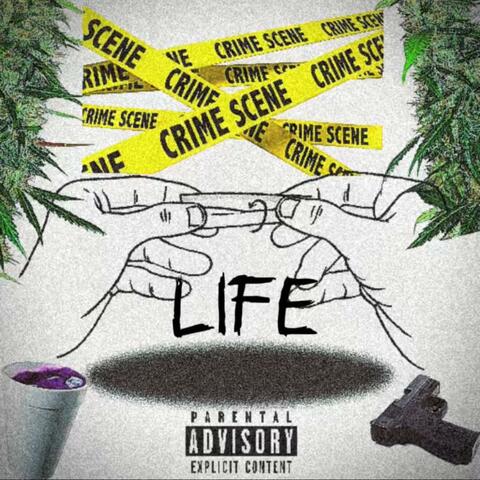 Life album art