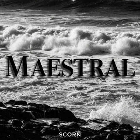 Maestral album art