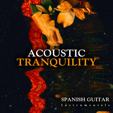 Acoustic Tranquility album art