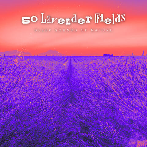 50 Lavender Fields album art