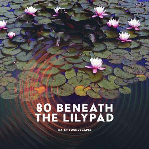 80 Beneath the Lilypad album art