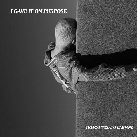I GAVE IT ON PURPOSE album art
