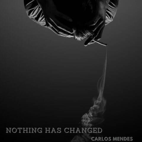NOTHING HAS CHANGED album art