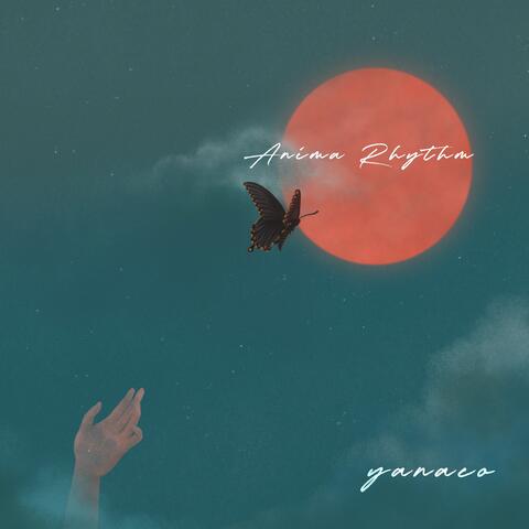 Anima Rhythm album art