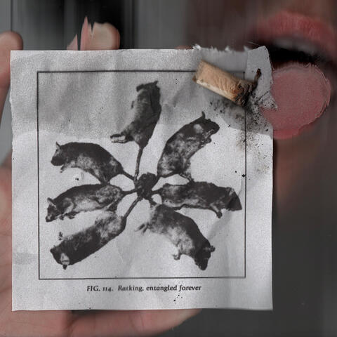 ratking album art