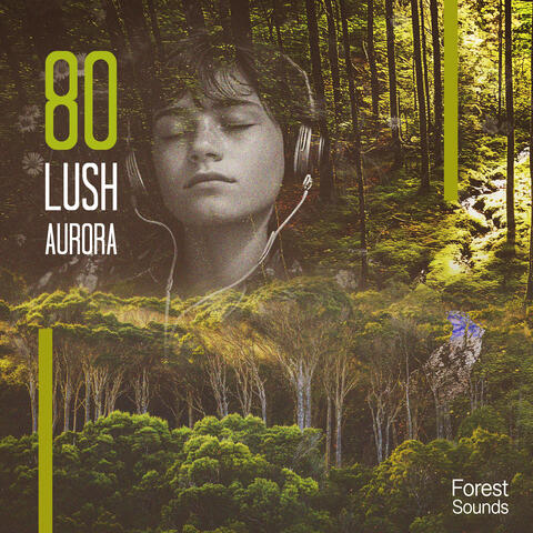 80 Lush Aurora album art
