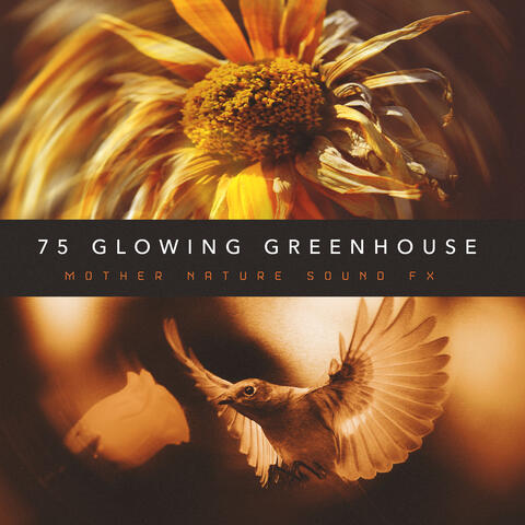 75 Glowing Greenhouse album art
