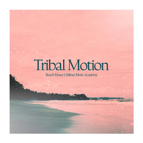 Tribal Motion album art