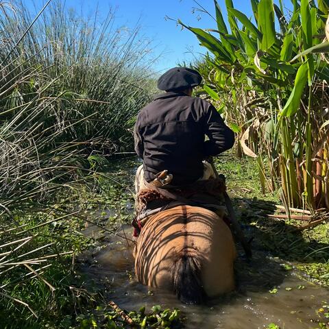 Keneke Salazar album art